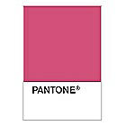 PANTONE WEDDING Swatch Cards