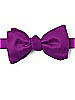Dupioni Bow Ties