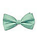Boy's Clip Bow Tie in Peau de Soie