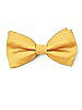 Boy's Clip Bow Tie in Peau de Soie