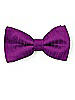 Boy's Clip Bow Tie in Dupioni