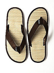 Men's Destination Flip Flop