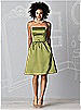 After Six Bridesmaids Style 6600