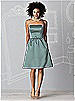 After Six Bridesmaids Style 6600