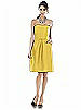 Alfred Sung Bridesmaid Dress D510