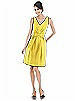 Alfred Sung Bridesmaid Dress D504