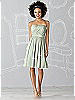 After Six Bridesmaid Dress 6620
