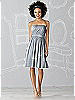 After Six Bridesmaid Dress 6620