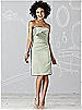 After Six Bridesmaid Dress 6618