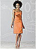 After Six Bridesmaid Dress 6618