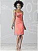 After Six Bridesmaid Dress 6618