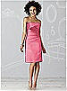 After Six Bridesmaid Dress 6618
