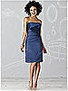 After Six Bridesmaid Dress 6618