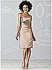 After Six Bridesmaid Dress 6618