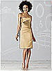 After Six Bridesmaid Dress 6618