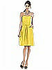 Alfred Sung Bridesmaid Dress D508