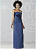 After Six Bridesmaid Dress 6619