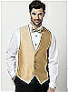 Paragon Vest