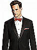 Paragon Bow-Tie