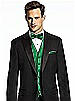 Paragon Pocket Square