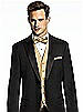 Paragon Pocket Square
